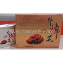 天然保健食品廠(chǎng)商公司 2019年天然保健食品最新批發(fā)商 天然保健食品廠(chǎng)商報(bào)價(jià) 